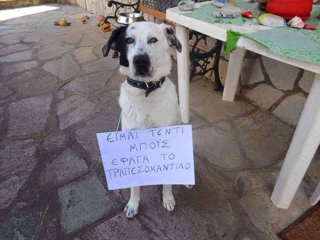 enallaktika.gr