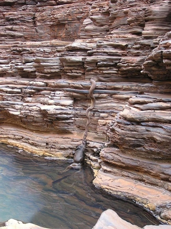 enallaktika.gr