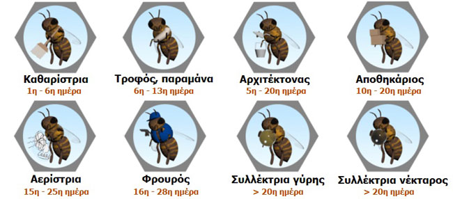 enallaktika.gr