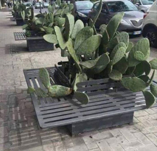 enallaktika.gr