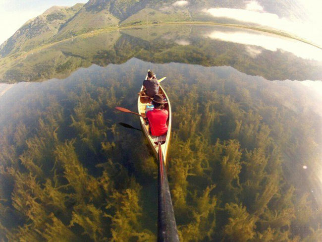 enallaktika.gr