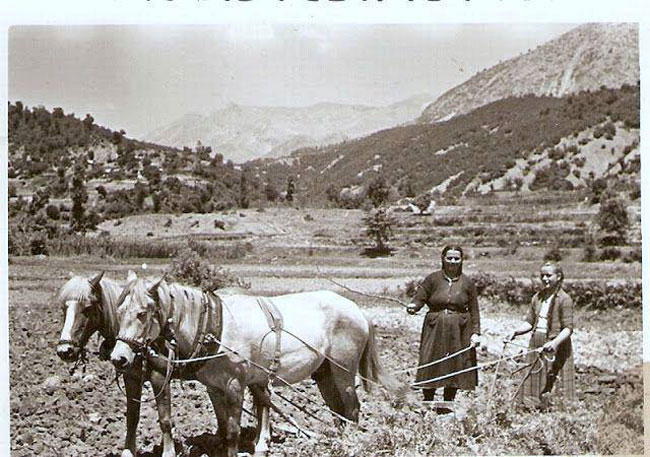 enallaktika.gr