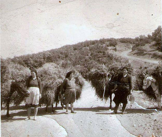 enallaktika.gr