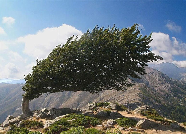 enallaktika.gr