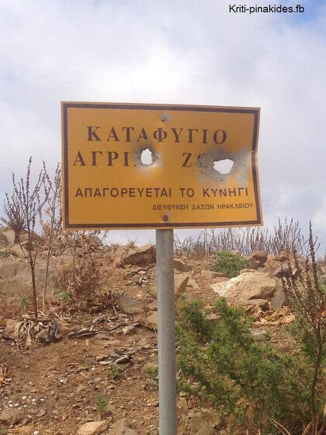 enallaktika.gr