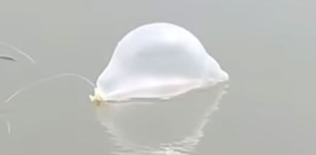 enallaktika.gr