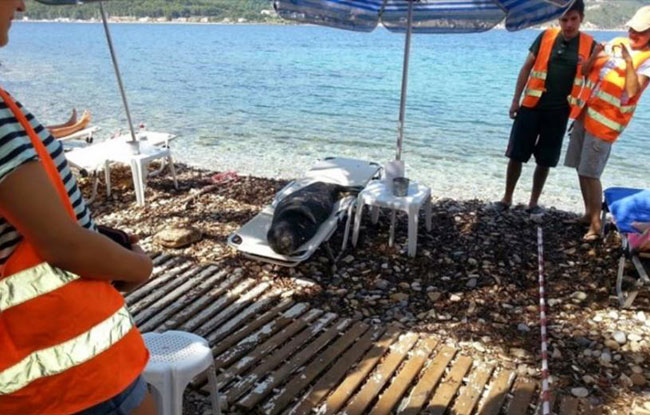 enallaktika.gr