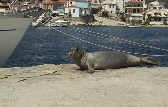 enallaktika.gr