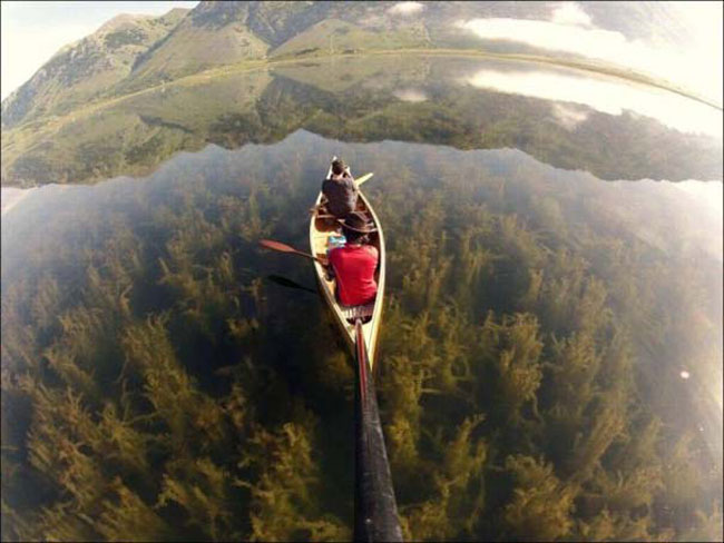 enallaktika.gr