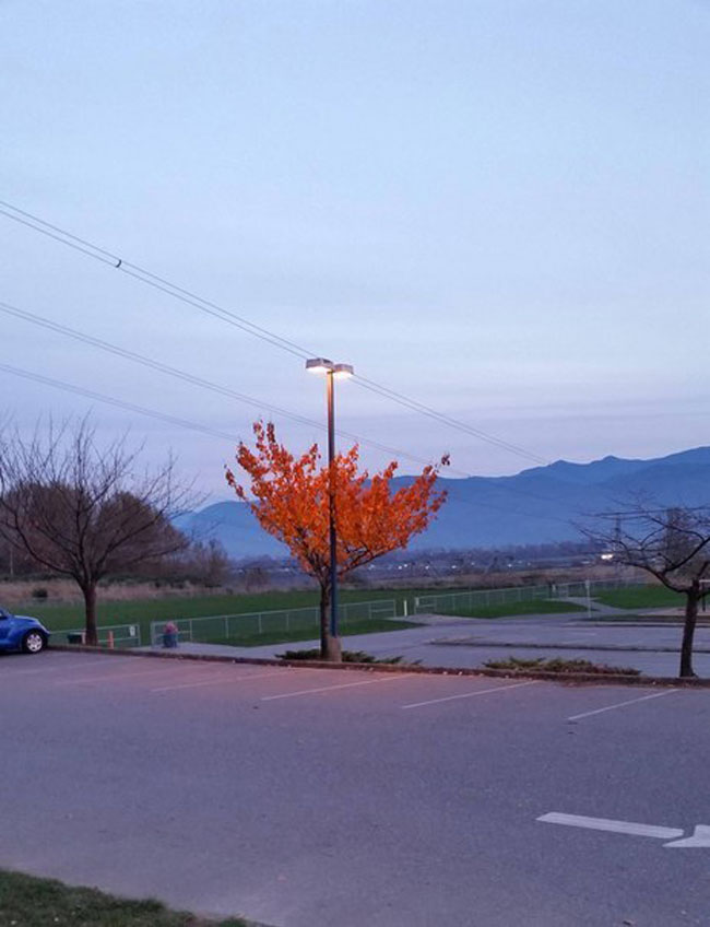 enallaktika.gr
