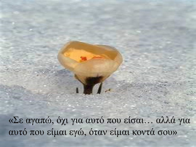 enallaktika.gr