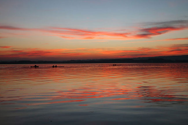 enallaktika.gr