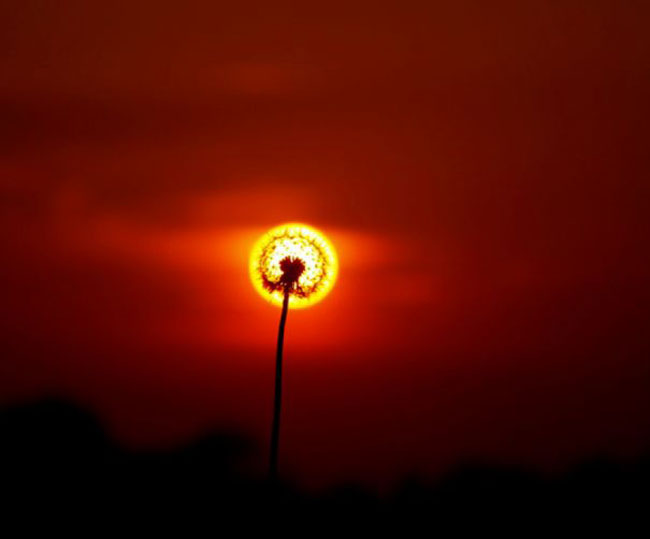 enallaktika.gr