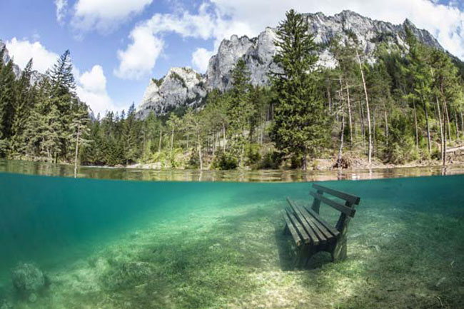 enallaktika.gr