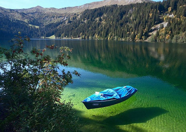 enallaktika.gr