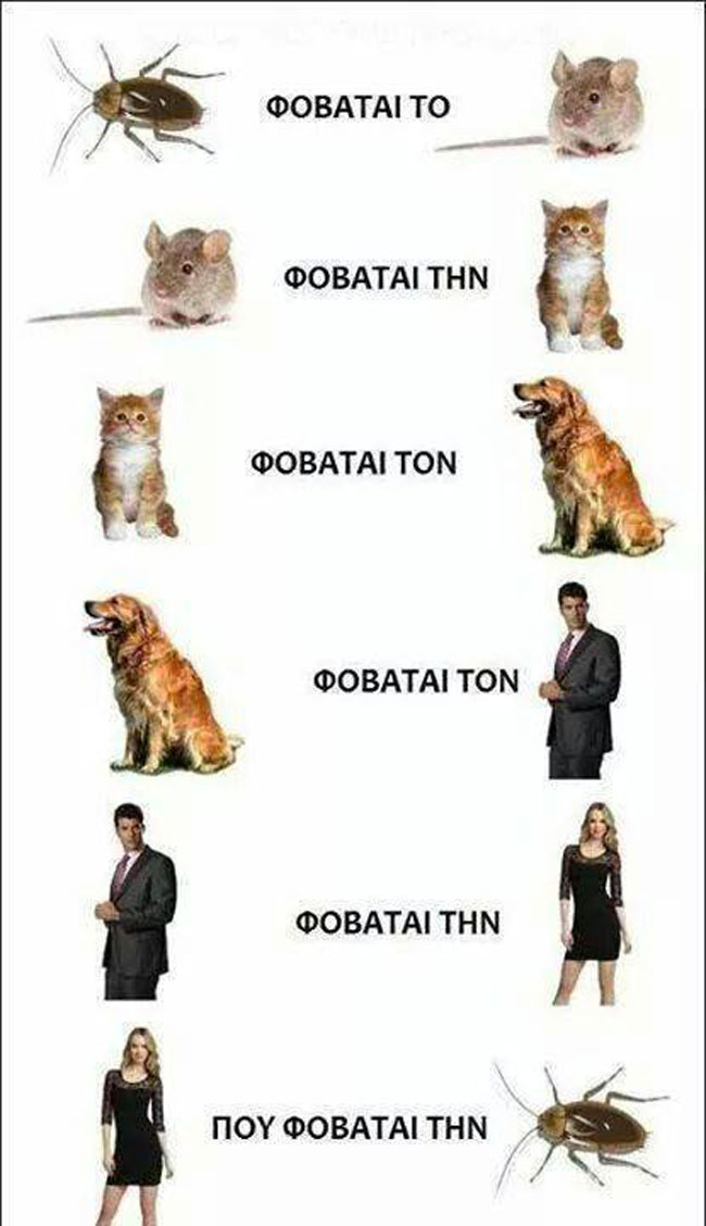 enallaktika.gr