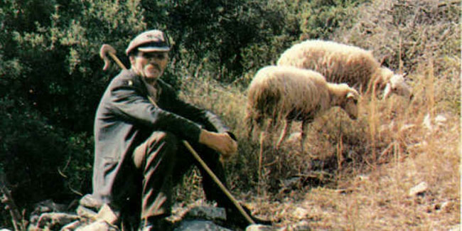 enallaktika.gr
