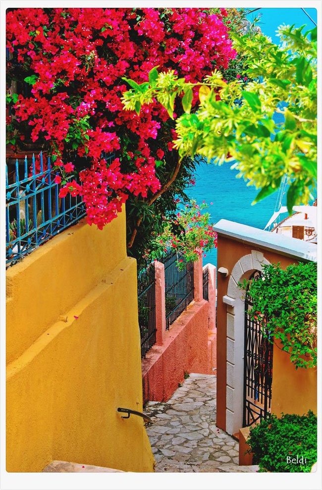 enallaktika.gr
