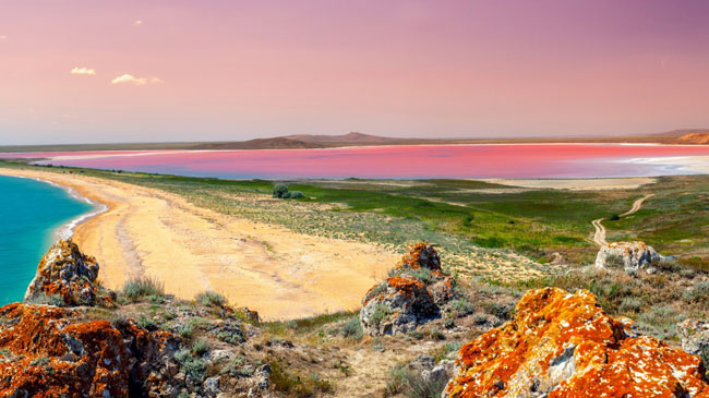 enallaktika.gr