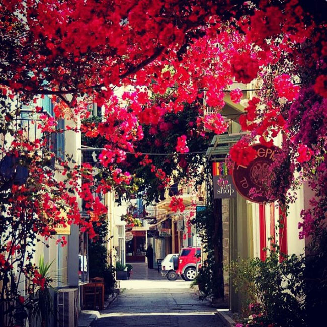 enallaktika.gr