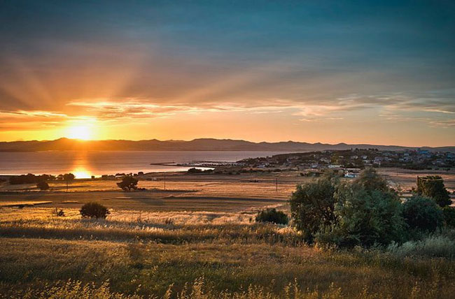 enallaktika.gr