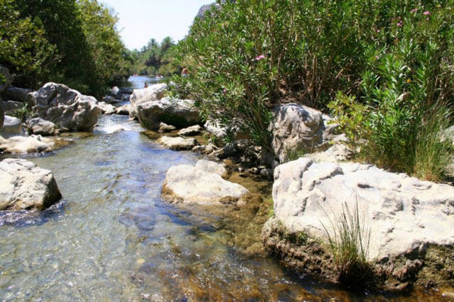 enallaktika.gr
