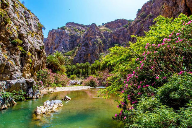 enallaktika.gr