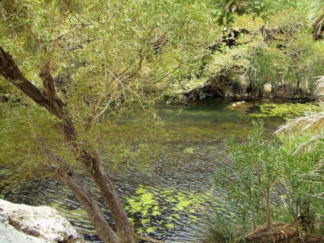 enallaktika.gr