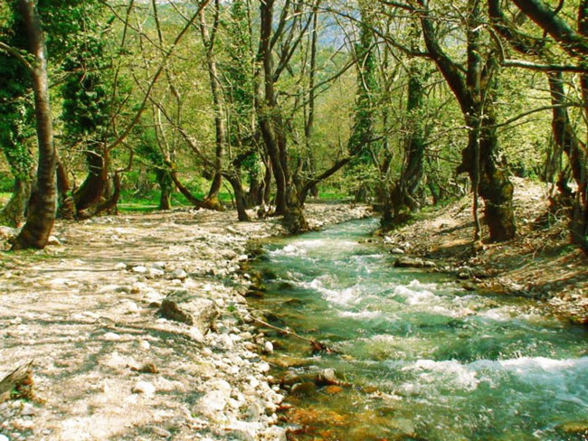 enallaktika.gr