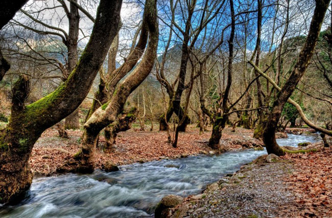 enallaktika.gr