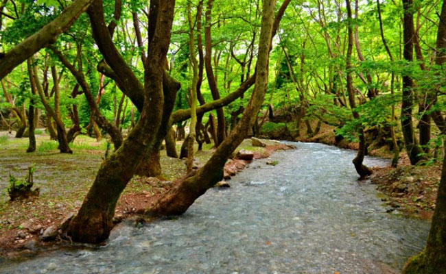 enallaktika.gr