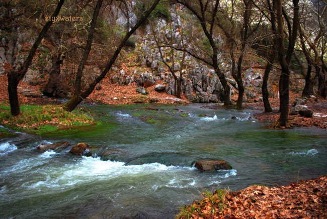 enallaktika.gr