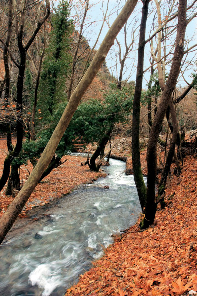 enallaktika.gr