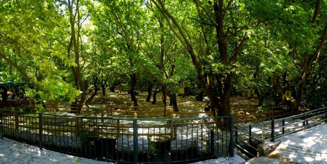 enallaktika.gr