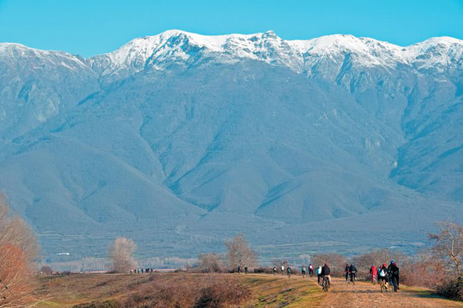 enallaktika.gr