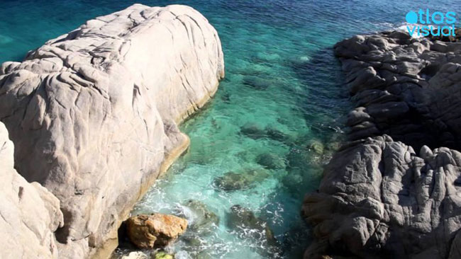 enallaktika.gr