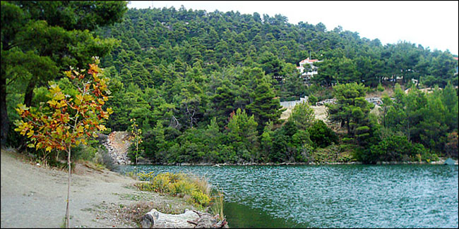 enallaktika.gr