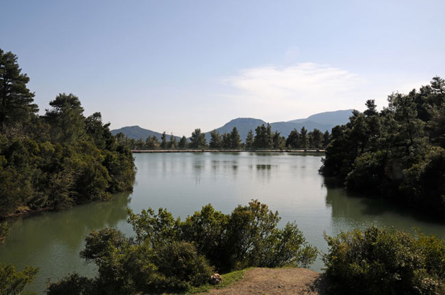 enallaktika.gr