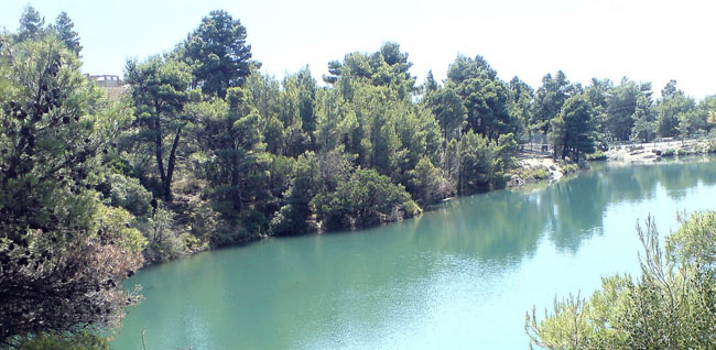 enallaktika.gr