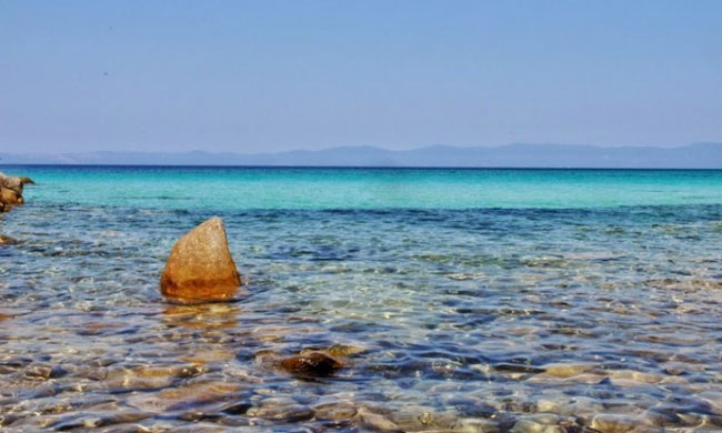 enallaktika.gr