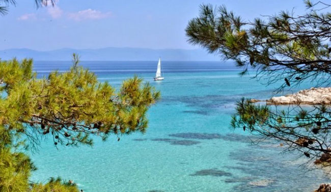 enallaktika.gr
