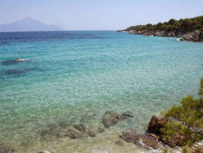 enallaktika.gr