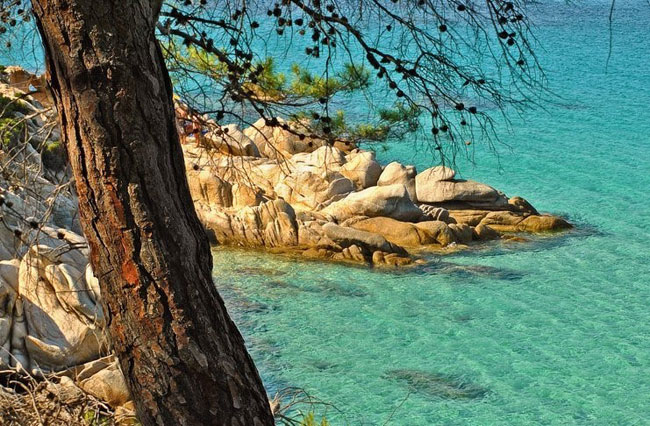 enallaktika.gr
