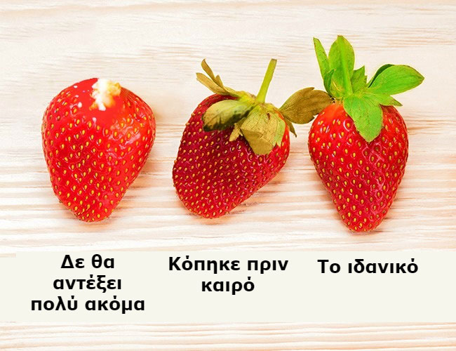 enallaktika.gr