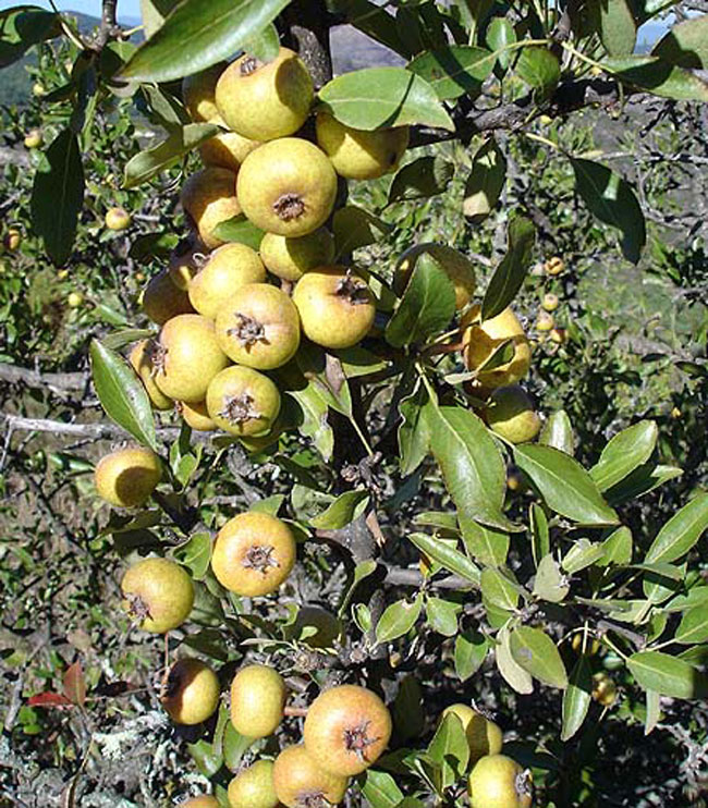 enallaktika.gr