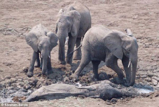 enallaktika.gr