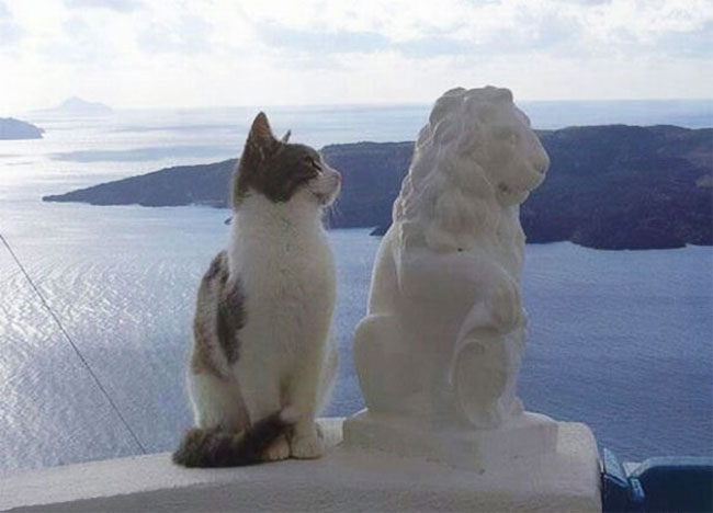 enallaktika.gr