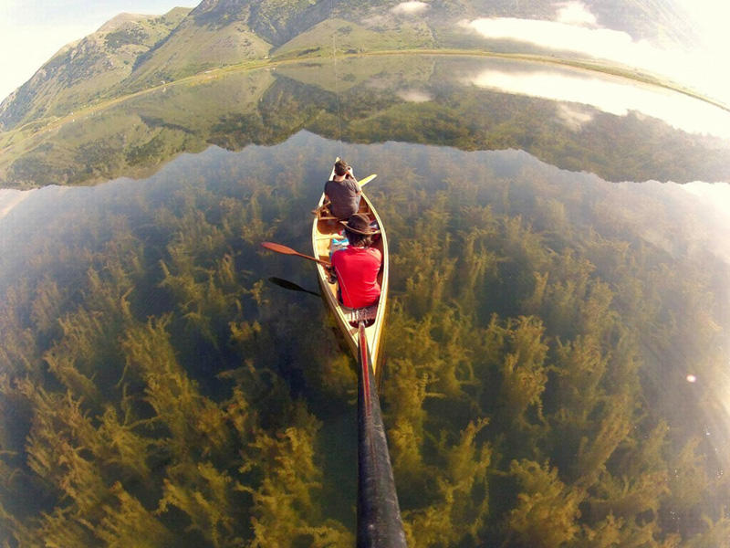 enallaktika.gr