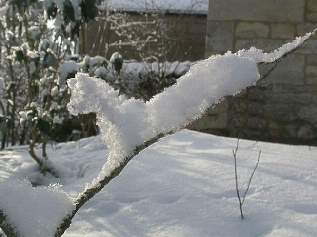 enallaktika.gr