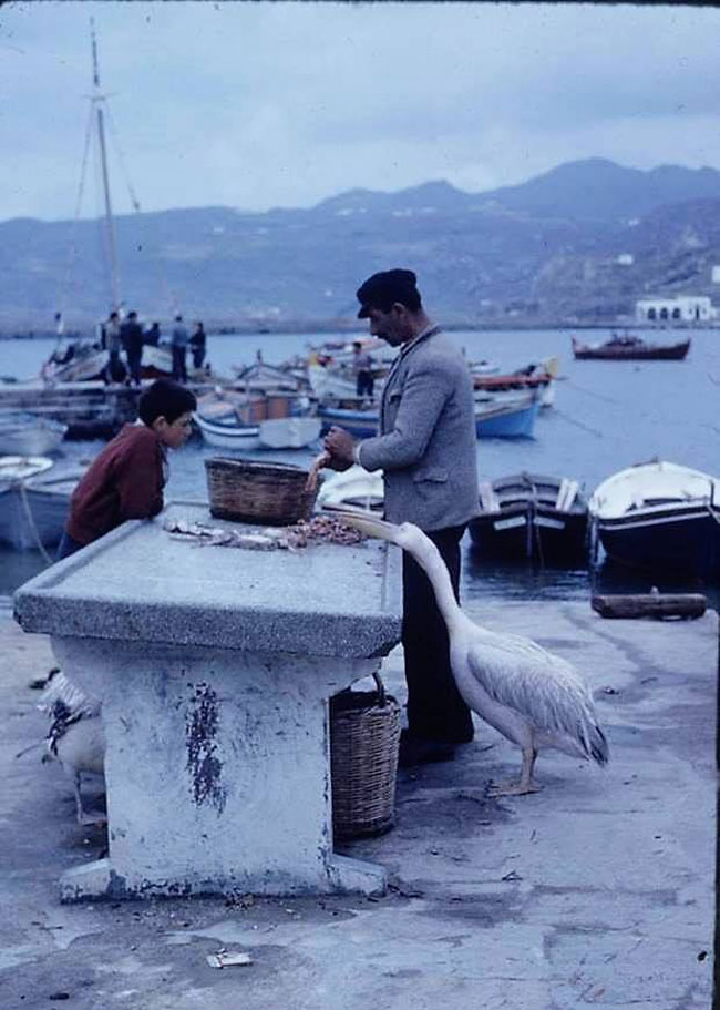 enallaktika.gr